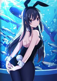 Этот глупый свин не понимает мечту девочки-зайки, Сезон 1